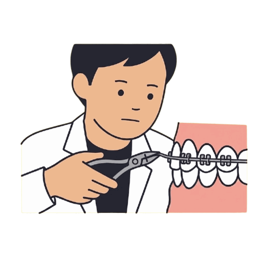 矯正歯科医師のイラスト素材