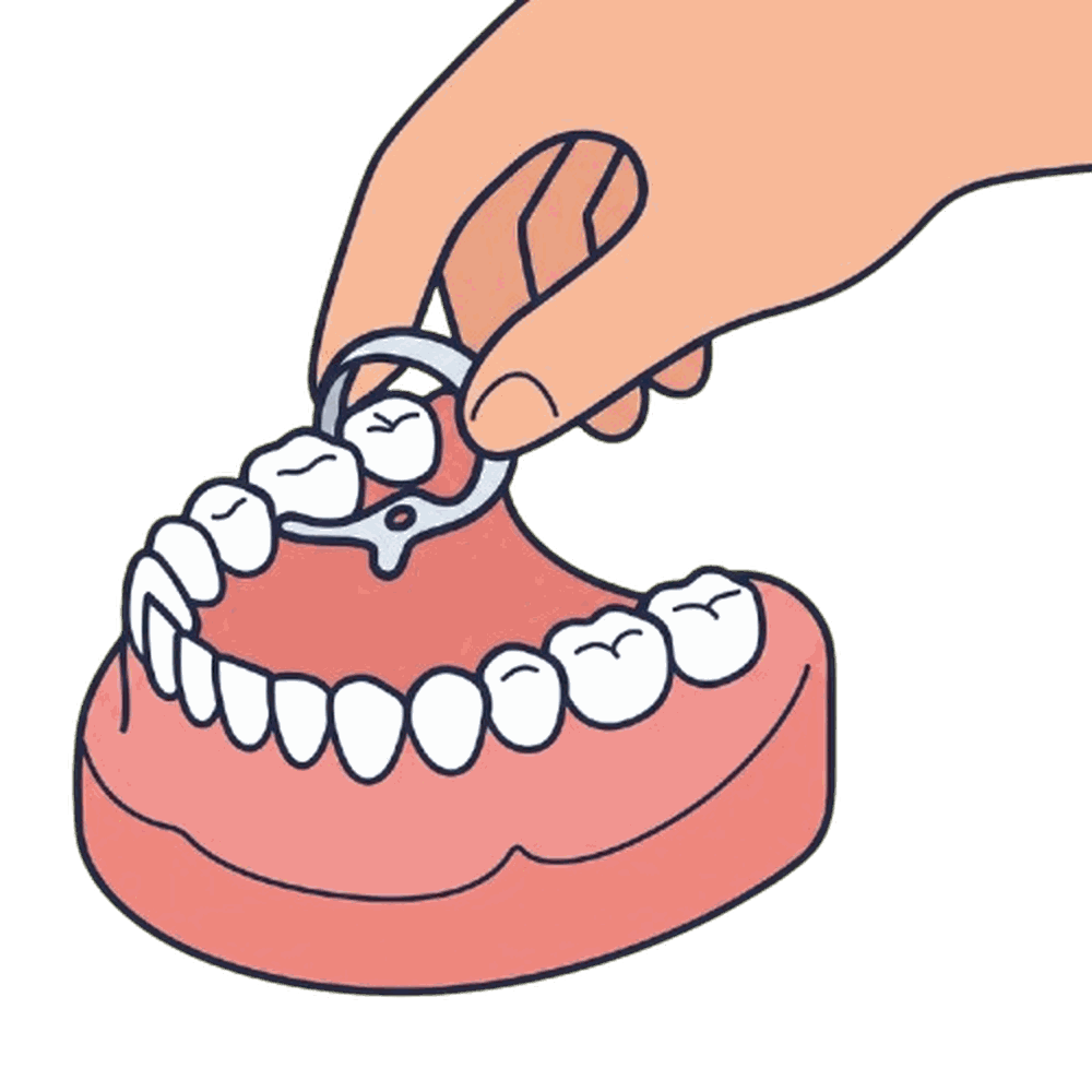 クランプと模型のイラスト素材