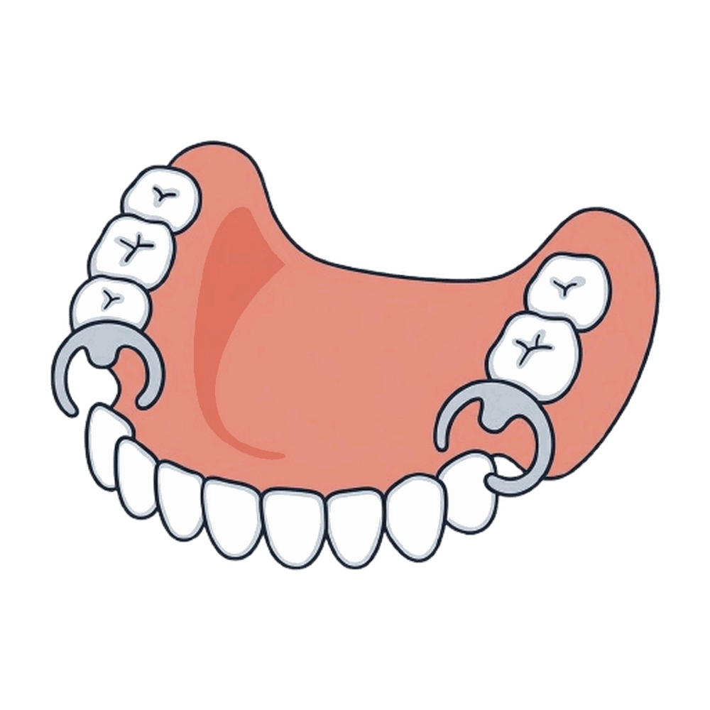 部分入れ歯のイラスト素材