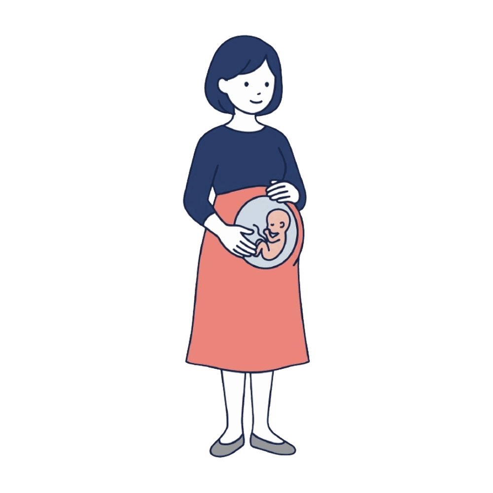 妊婦(おなかの赤ちゃん)のイラスト素材