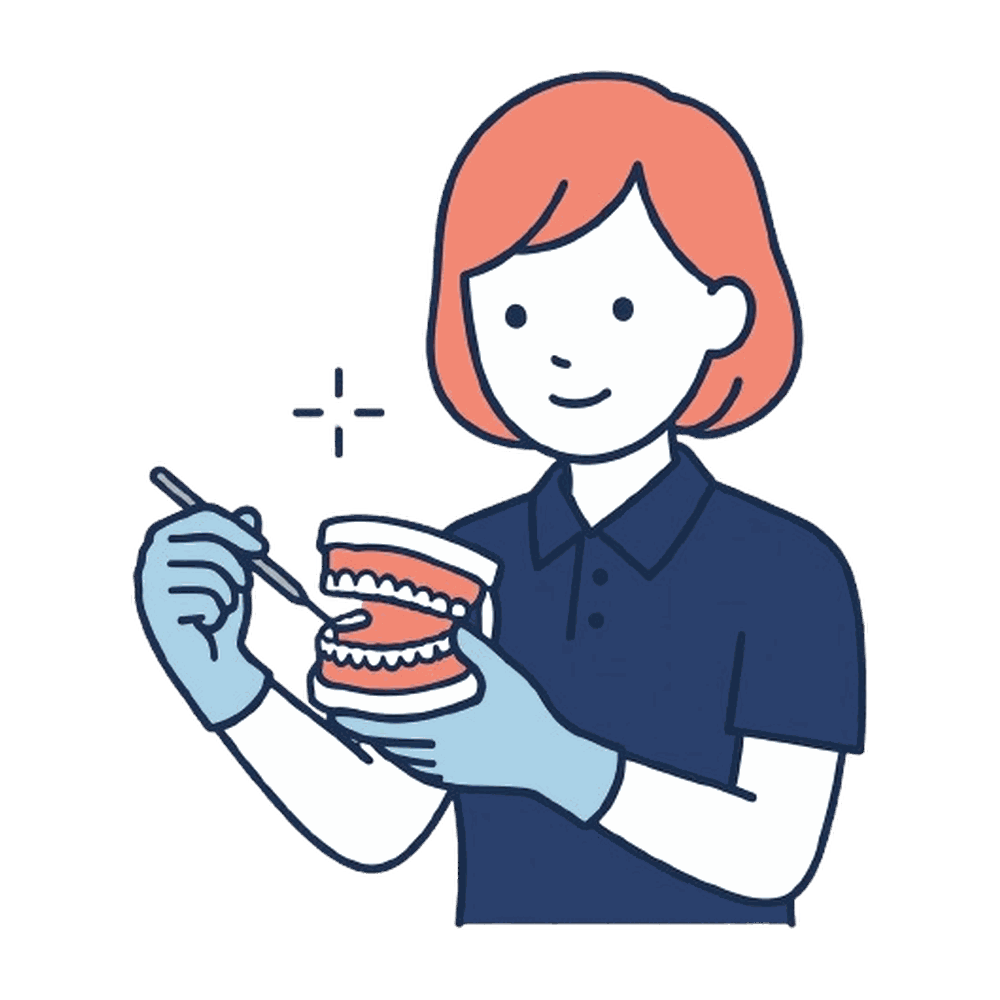 歯型模型を持つ歯科スタッフのイラスト素材