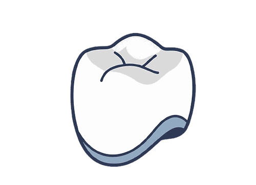 クラウン（被せ物）のイラスト素材