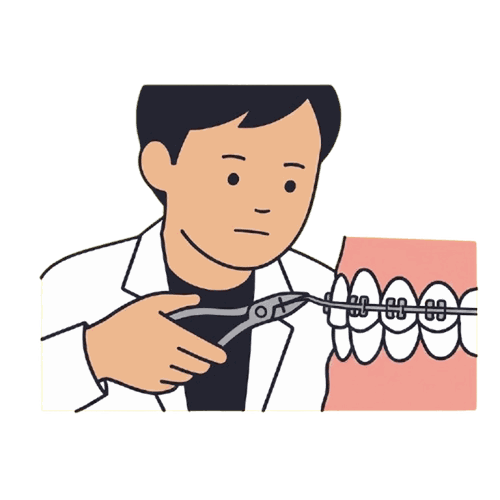 矯正歯科医師のイラスト素材