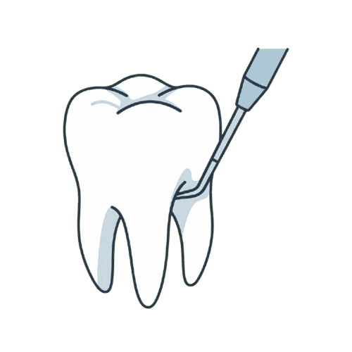 根分岐部用プローブ（ファーケーションプローブ）のイラスト素材