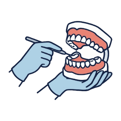 歯型模型のチェックのイラスト素材