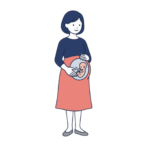 妊婦（おなかの赤ちゃん）のイラスト素材